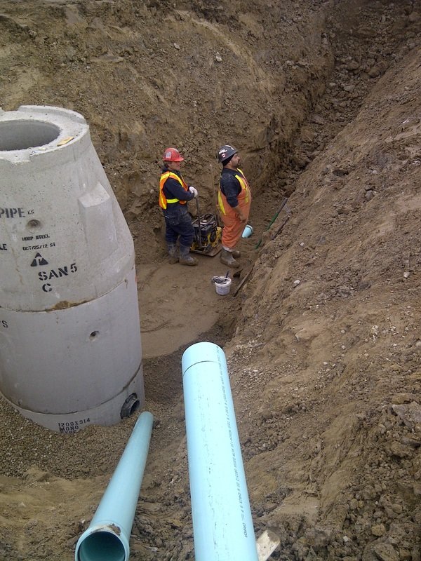 Treeland Construction