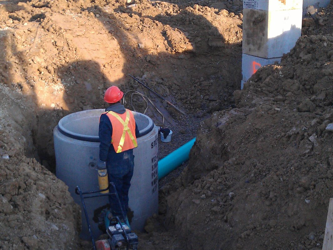 Treeland Development